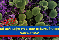 Thế giới hiện có 4.000 biến thể virus SARS-CoV-2