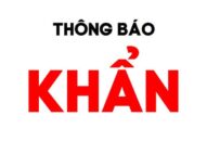 Thông báo khẩn của Sở Y tế Hải Phòng