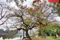 Thời tiết ngày 11/3: Miền Bắc lạnh về đêm và sáng, Nam Bộ nắng nóng