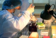 Ngày 13-3, Hải Phòng có 165 mẫu âm tính với virus SARS-CoV-2