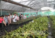 Hội thi sáng tạo kỹ thuật thành phố: Thúc đẩy ứng dụng khoa học công nghệ