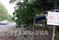 Bộ Tài nguyên và Môi trường yêu cầu chấn chỉnh không để tình trạng sốt đất