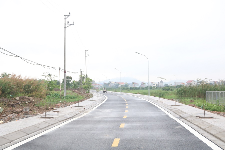 Một tuyến đường xã nông thôn mới kiểu mẫu tại Đồng Thái (An Dương). 