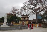 Sư trụ trì chùa Trung Hành bị tố hung hăng với người vãn cảnh