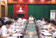 Đẩy nhanh tiến độ xây dựng xã nông thôn mới kiểu mẫu Tân Liên