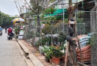 Phường Dư Hàng Kênh, quận Lê Chân: Kiên quyết lập lại trật tự đường hè, vệ sinh môi trường khu vực đường Hoàng Minh Thảo