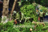 Chỉnh trang đô thị, đảm bảo trật tự ATGT trên địa bàn thành phố chuẩn bị cho dịp Bầu cử và mùa mưa bão