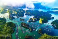 Tìm kiếm kiến trúc thương mại và cảnh quan ven bờ sông đô thị Cát Bà