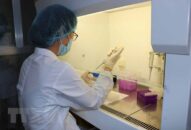 Hai ca mắc COVID-19 nhập cảnh trái phép đang viêm phổi nhanh