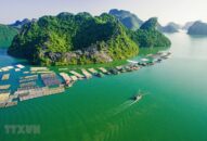 Nhiều hoạt động đặc sắc tại Lễ hội Hoa Phượng Đỏ Hải Phòng 2021