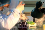 Tính đến ngày 5/4, Hải Phòng không còn người bệnh dương tính với virus SARS-CoV-2