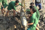 Xử lý thành công quả bom nặng 500 pound tại Mỹ Đức, An Lão