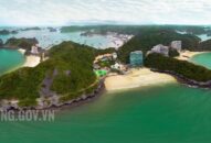 Triển khai thực hiện Chiến lược phát triển du lịch Việt Nam đến năm 2030 trên địa bàn thành phố Hải Phòng