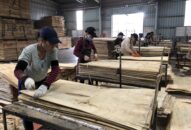 Giảm số năm đóng bảo hiểm xã hội rất có lợi cho người lao động