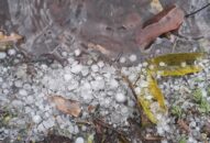 Dự báo thời tiết 7 ngày tới: Đề phòng thời tiết nguy hiểm