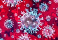 Việt Nam phát hiện thêm hai biến chủng SARS-CoV-2 mới, từ những ca bệnh nhập cảnh