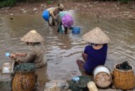 Mưu sinh bên cửa biển Đồ Sơn