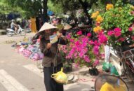 BHXH Việt Nam đề xuất tăng mức hỗ trợ đóng BHXH tự nguyện và BHYT cho người tham gia