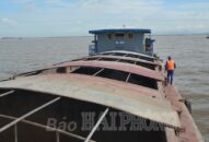 Tạm giữ phương tiện chở 400 tấn than không rõ nguồn gốc