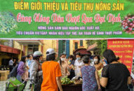 Hội Nông dân thành phố chung tay hỗ trợ tiêu thụ 6 tấn hàng hóa nông sản của tỉnh Sơn La