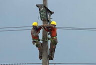 Điện lực Hải Phòng khắc phục sự cố lưới điện do bão số 2 gây ra