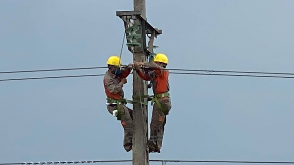 Công nhân Đội quản lý vận hành, Điện Lực Vĩnh Bảo xử lý sự cố lưới điện sau cơn bão số 2