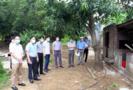 Chủ động các biện pháp phòng, chống Dịch tả lợn Châu Phi không để bùng phát trên diện rộng