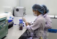 14/19 F1 của người bệnh 15122 và 8/8 F1 của người bệnh 15151 có kết quả xét nghiệm âm tính với virus SARS-CoV-2