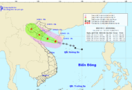 TIN BÃO KHẨN CẤP VÀ CÁC CHỈ ĐẠO ỨNG PHÓ