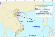 TIN BÃO TRÊN ĐẤT LIỀN (Cơn bão số 2)