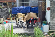 “Nhảy dù” chiếm đất ở Hải Phòng: Hơn 20 côn đồ uy hiếp chủ đất