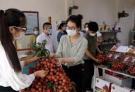 Vải thiều Hải Dương được người dân thành phố Hải Phòng chào đón