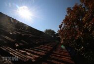 Chỉ số tia cực tím ở thành phố Hải Phòng có nguy cơ gây hại rất cao