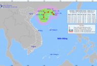 Chủ động ứng phó với cơn bão số 3