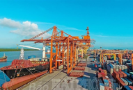 Cảng Hải Phòng: Sản lượng hàng qua cảng hơn 6 tháng đầu năm 2021 tăng 17,2% so với cùng kỳ năm 2020