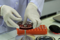 Quận Hải An cách ly 38 trường hợp F1, lấy mẫu xét nghiệm diện rộng 343 tiểu thương kinh doanh tại chợ Xâm Bồ liên quan đến 3 ca bệnh COVID-19