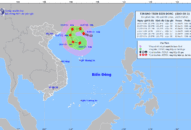 Tin bão mới nhất: Bão số 3 Cempaka tiếp tục mạnh lên, giật cấp 12