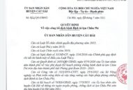 Huyện Cát Hải công bố dịch bệnh Dịch tả lợn Châu Phi