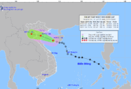 Tin áp thấp nhiệt đới khẩn cấp