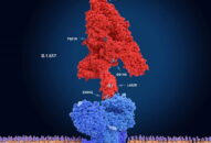 WHO cảnh báo biến thể Delta là biến thể chủ đạo trong vài tháng tới