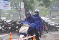 Tuần từ 12-18/7, khu vực Bắc Bộ có mưa rào và dông rải rác