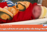 Bé gái 2 ngày tuổi bị bỏ rơi cạnh cột điện viễn thông ở Hải Phòng