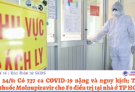 Sáng 24/8: Có 737 ca COVID-19 nặng và nguy kịch; Từ 25/8 phát thuốc Molnupiravir cho F0 điều trị tại nhà ở TP HCM