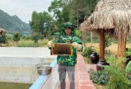 Huyện Cát Hải: Đề xuất danh mục “Mật ong Cát Bà” vào dự án quản lý, khai thác và phát triển nhãn hiệu trên địa bàn thành phố giai đoạn 2021-2030