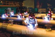 Thu ngân sách nội địa 7 tháng: Vẫn giữ nhịp độ tăng trưởng cao