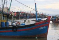 Khẩn trương triển khai một số biện pháp phòng chống dịch bệnh tại các cảng cá