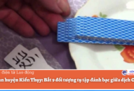 Bắt 9 đối tượng ở Hải Phòng tụ tập đánh bạc giữa dịch COVID-19