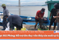 Điện lực Hải Phòng: Hỗ trợ tiêu thụ thủy sản nuôi tại Cát Bà