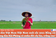 Nông dân Việt Nam Việt Nam xuất sắc 2021: Bằng cách nào chị nông dân Hải Phòng có 100ha đất cấy lúa, trồng rau?