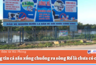 Thông tin cá sấu xổng chuồng ra sông Rế là chưa có cơ sở